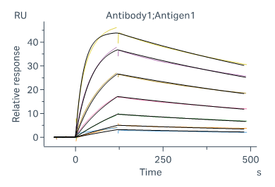 Biacore测定抗原和抗体的亲和力