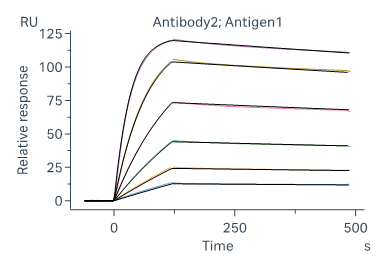 Biacore测定抗原和抗体的亲和力
