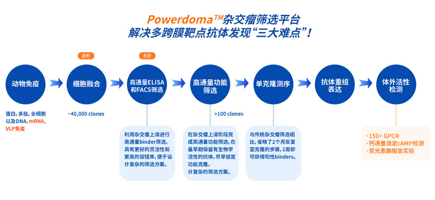 Powerdoma<sup>TM</sup>杂交瘤筛选平台